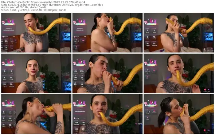 chaturbate-evarabbit-12-15-2025-07-01-43