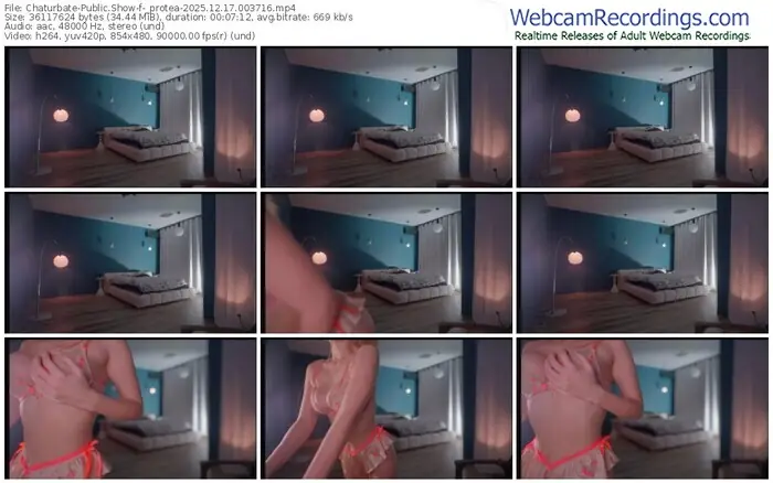 chaturbate-_protea-12-17-2025-00-37-16