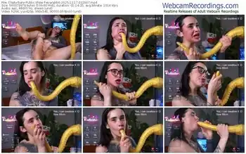 chaturbate-evarabbit-12-17-2025-03-29-07