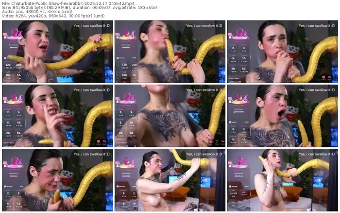 chaturbate-evarabbit-12-17-2025-04-35-42