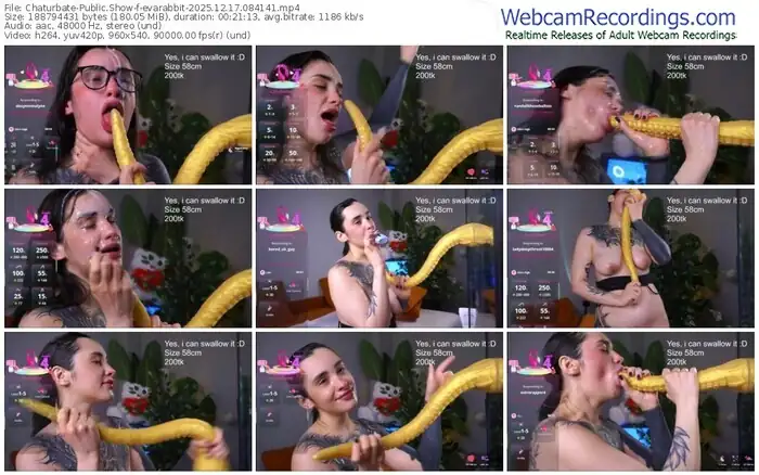 chaturbate-evarabbit-12-17-2025-08-41-41