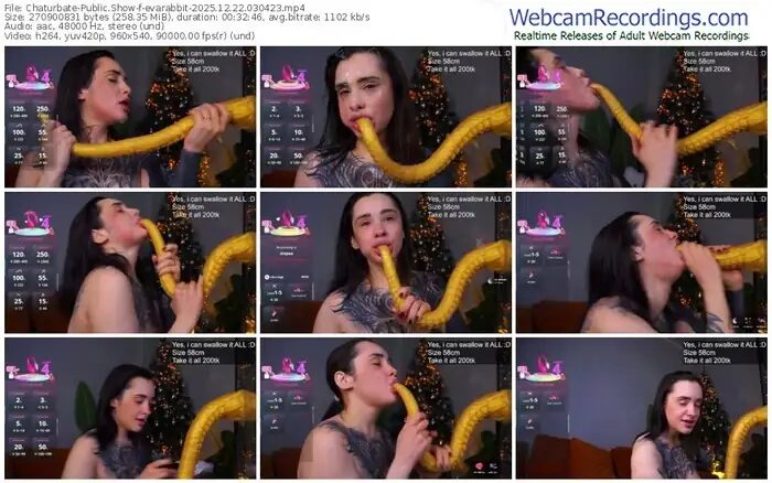 chaturbate-evarabbit-12-22-2025-03-04-23