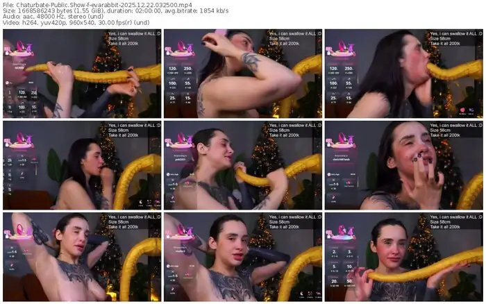 chaturbate-evarabbit-12-22-2025-03-25-00