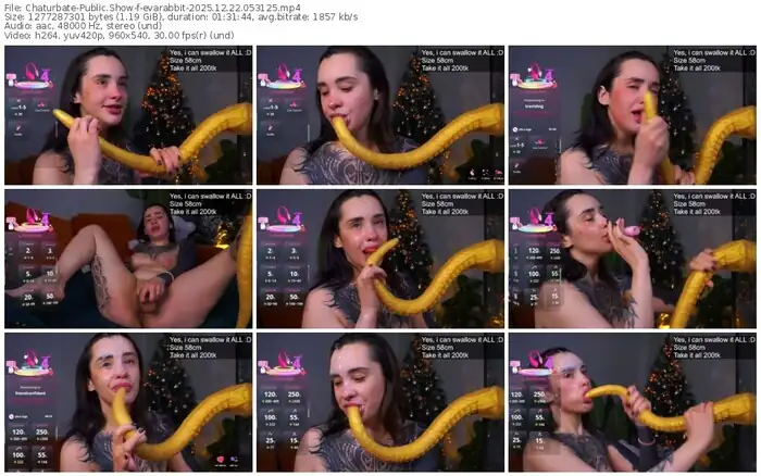 chaturbate-evarabbit-12-22-2025-05-31-25