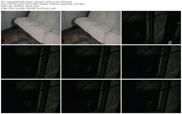 chaturbate-slemgem-12-23-2025-17-03-33