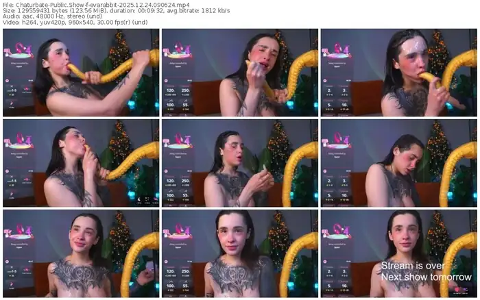 chaturbate-evarabbit-12-24-2025-09-06-24