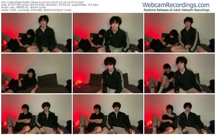 chaturbate-ar1zze-12-24-2025-21-37-03