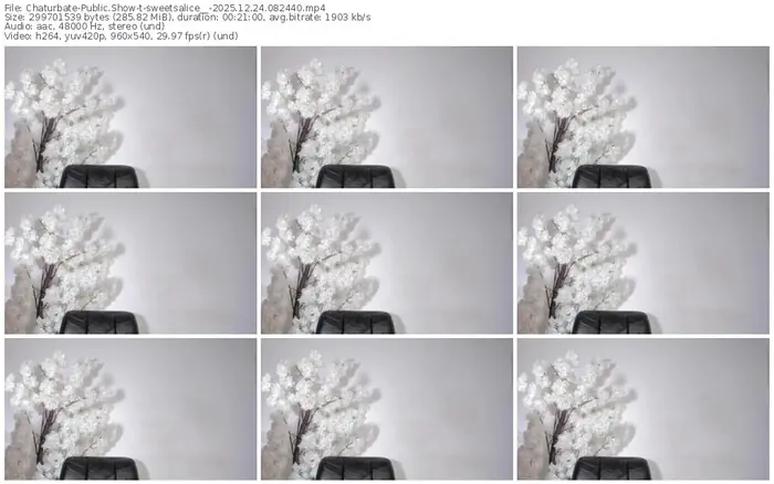 chaturbate-sweetsalice__-12-24-2025-08-24-40