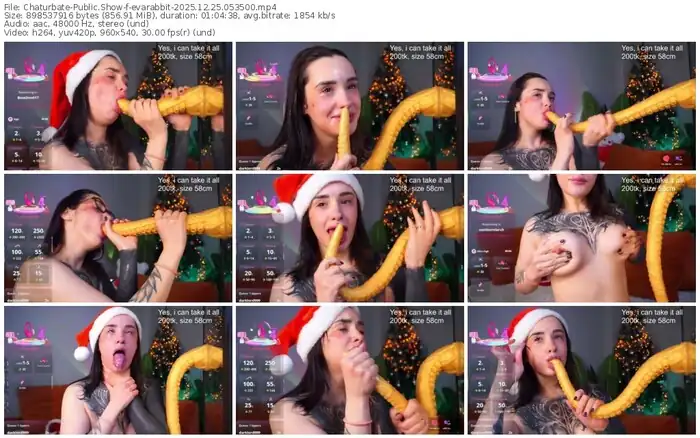 chaturbate-evarabbit-12-25-2025-05-35-00