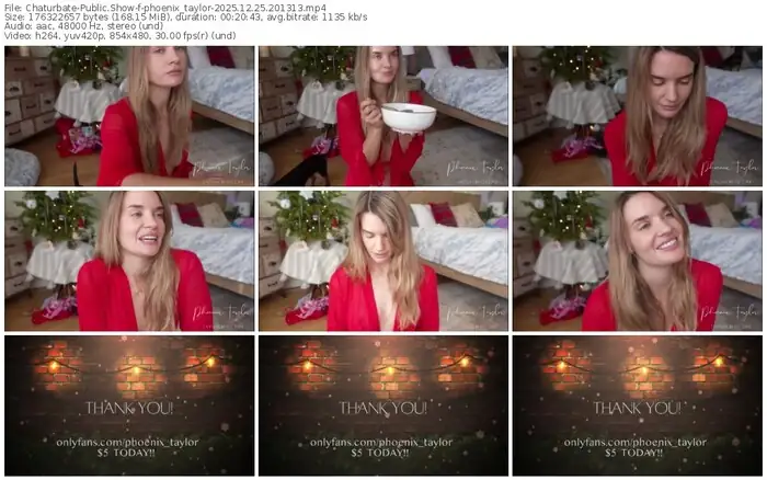 chaturbate-phoenix_taylor-12-25-2025-20-13-13