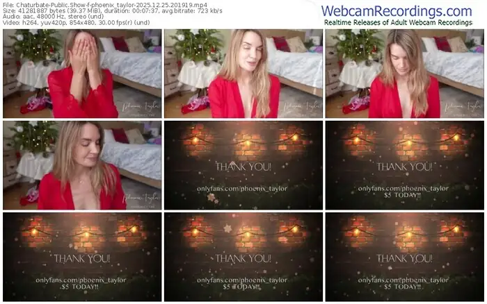 chaturbate-phoenix_taylor-12-25-2025-20-19-19