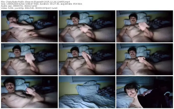 chaturbate-bluezed4-12-26-2025-12-44-55