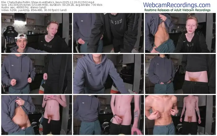 chaturbate-esthetics_boys-12-26-2025-01-15-02
