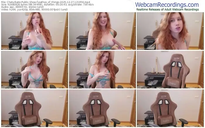 chaturbate-pathos_of_things-12-27-2025-12-19-56