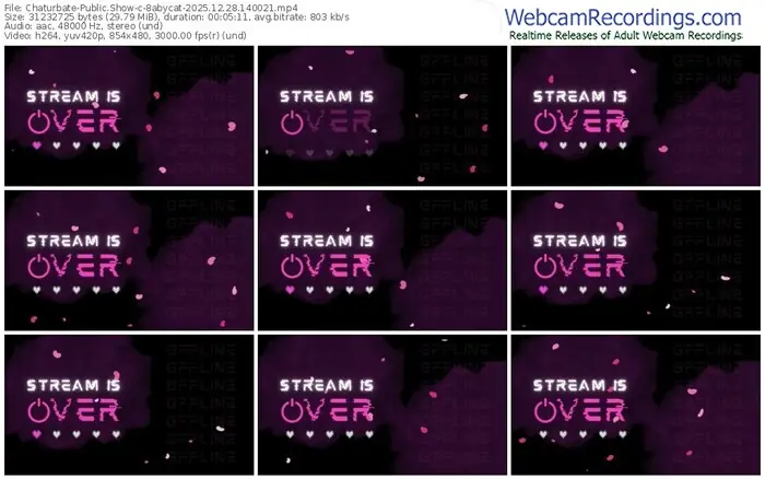 chaturbate-8abycat-12-28-2025-14-00-21