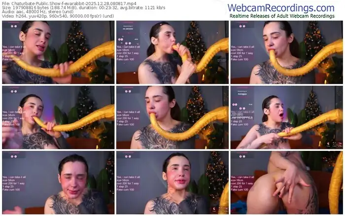 chaturbate-evarabbit-12-28-2025-08-08-17