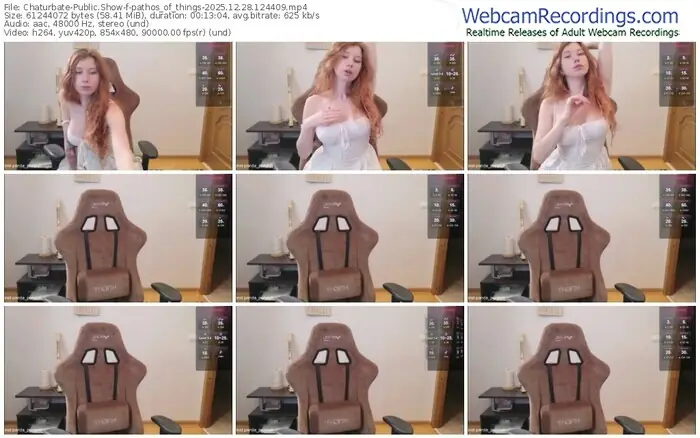 chaturbate-pathos_of_things-12-28-2025-12-44-09
