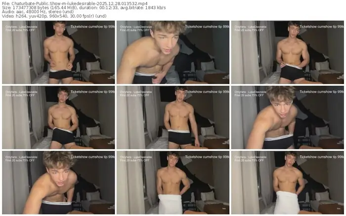 chaturbate-lukedesirable-12-28-2025-01-35-32