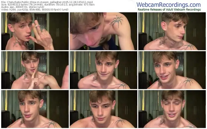 chaturbate-mason_gallagher-12-28-2025-16-52-11