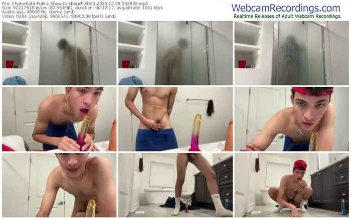 chaturbate-sbouchikh03-12-28-2025-09-28-30