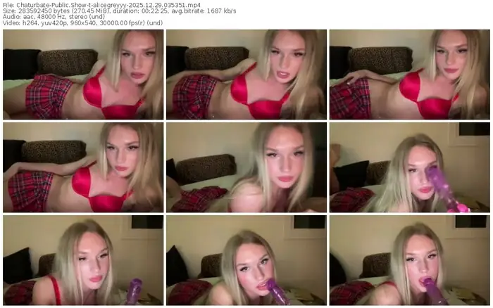 chaturbate-alicegreyyy-12-29-2025-03-53-51