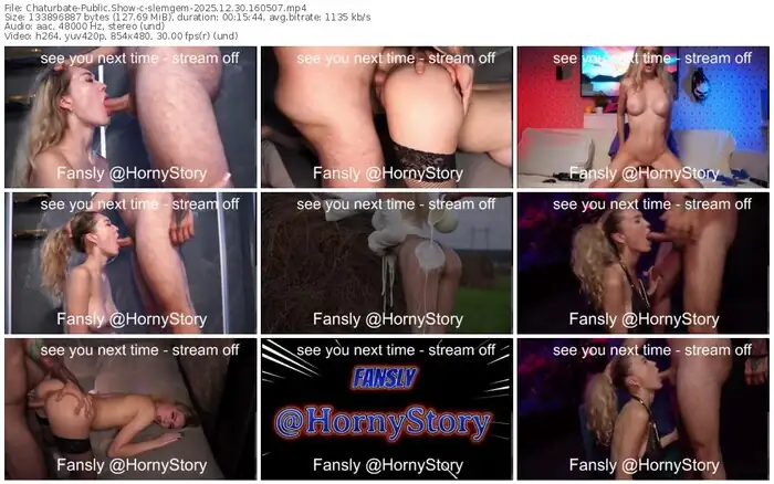 chaturbate-slemgem-12-30-2025-16-05-07