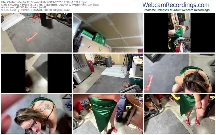 chaturbate-tsilver313-12-30-2025-11-52-19