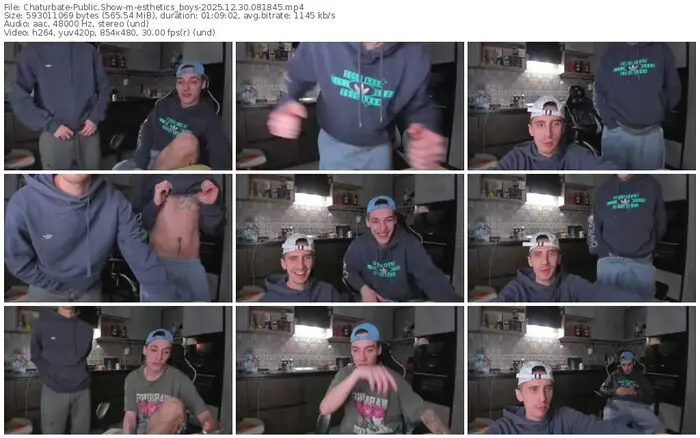 chaturbate-esthetics_boys-12-30-2025-08-18-45