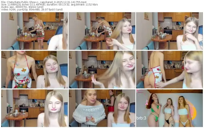 chaturbate-_capybara0_0-12-31-2025-14-17-55