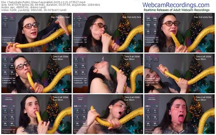 chaturbate-evarabbit-12-31-2025-07-35-27