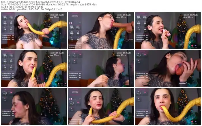 chaturbate-evarabbit-12-31-2025-07-58-28