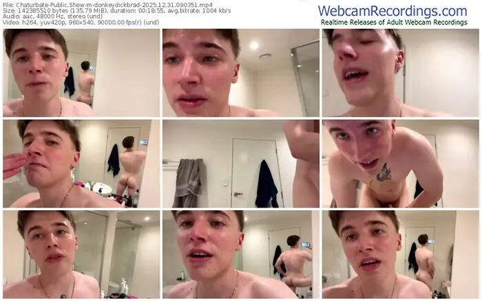 chaturbate-donkeydickbrad-12-31-2025-09-03-51