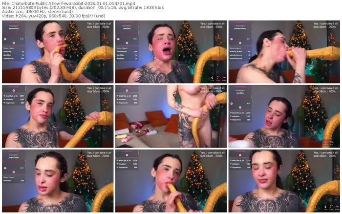 chaturbate-evarabbit-01-01-2026-05-47-01