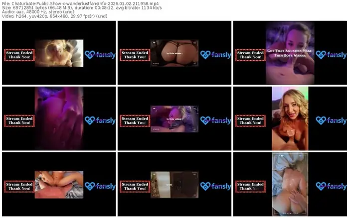 chaturbate-wanderlustfansinfo-01-02-2026-21-19-58