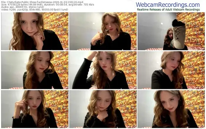 chaturbate-willenasow-01-03-2026-19-31-16