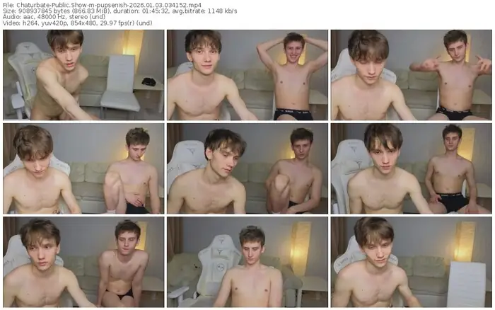 chaturbate-pupsenish-01-03-2026-03-41-52