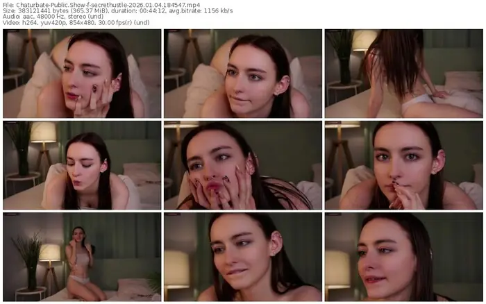chaturbate-secrethustle-01-04-2026-18-45-47
