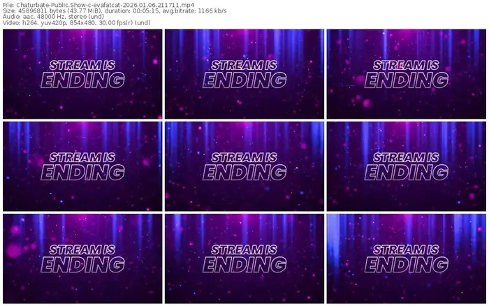 chaturbate-evafatcat-01-06-2026-21-17-11