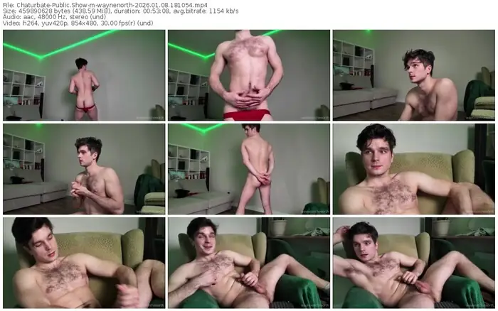 chaturbate-waynenorth-01-08-2026-18-10-54