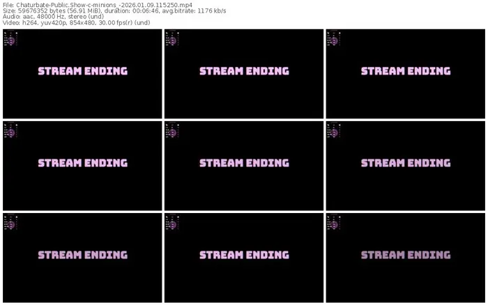 chaturbate-minions_-01-09-2026-11-52-50