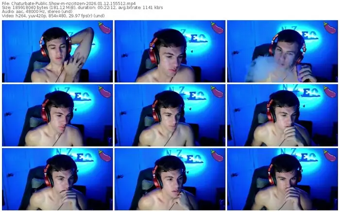 chaturbate-nzcitizen-01-12-2026-15-55-12