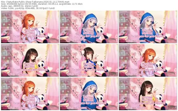 chaturbate-aikonara-01-13-2026-17-06-05