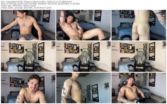 chaturbate-david_muller_-01-13-2026-21-08-58