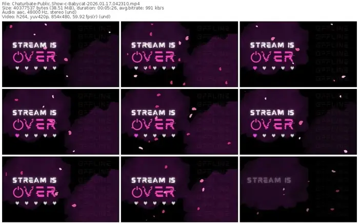 chaturbate-8abycat-01-17-2026-04-23-10