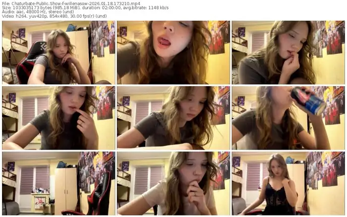 chaturbate-willenasow-01-18-2026-17-32-10