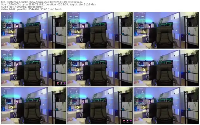 chaturbate-babesgowild-01-19-2026-08-51-32