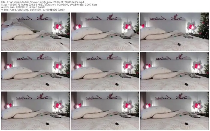 chaturbate-sindy_juxx-01-20-2026-09-24-25