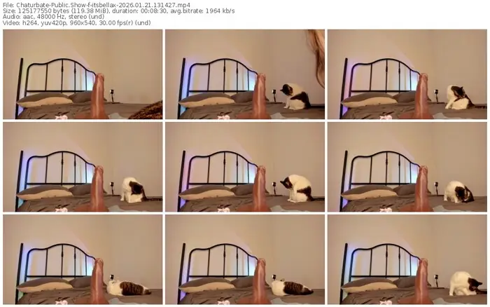 chaturbate-itsbellax-01-21-2026-13-14-27