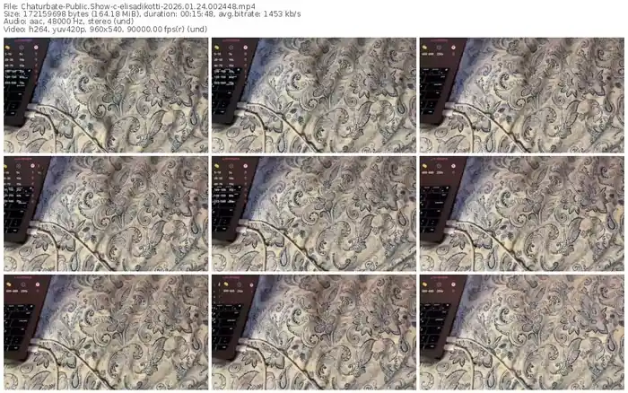 chaturbate-elisadikotti-01-24-2026-00-24-48