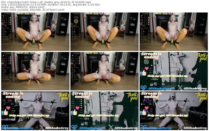 chaturbate-all_shades_grey-01-25-2026-02-44-55